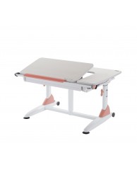 TD1601CCRW G6+XS ERGONOMIC DESK WITH DRAWER(CORAL RED)